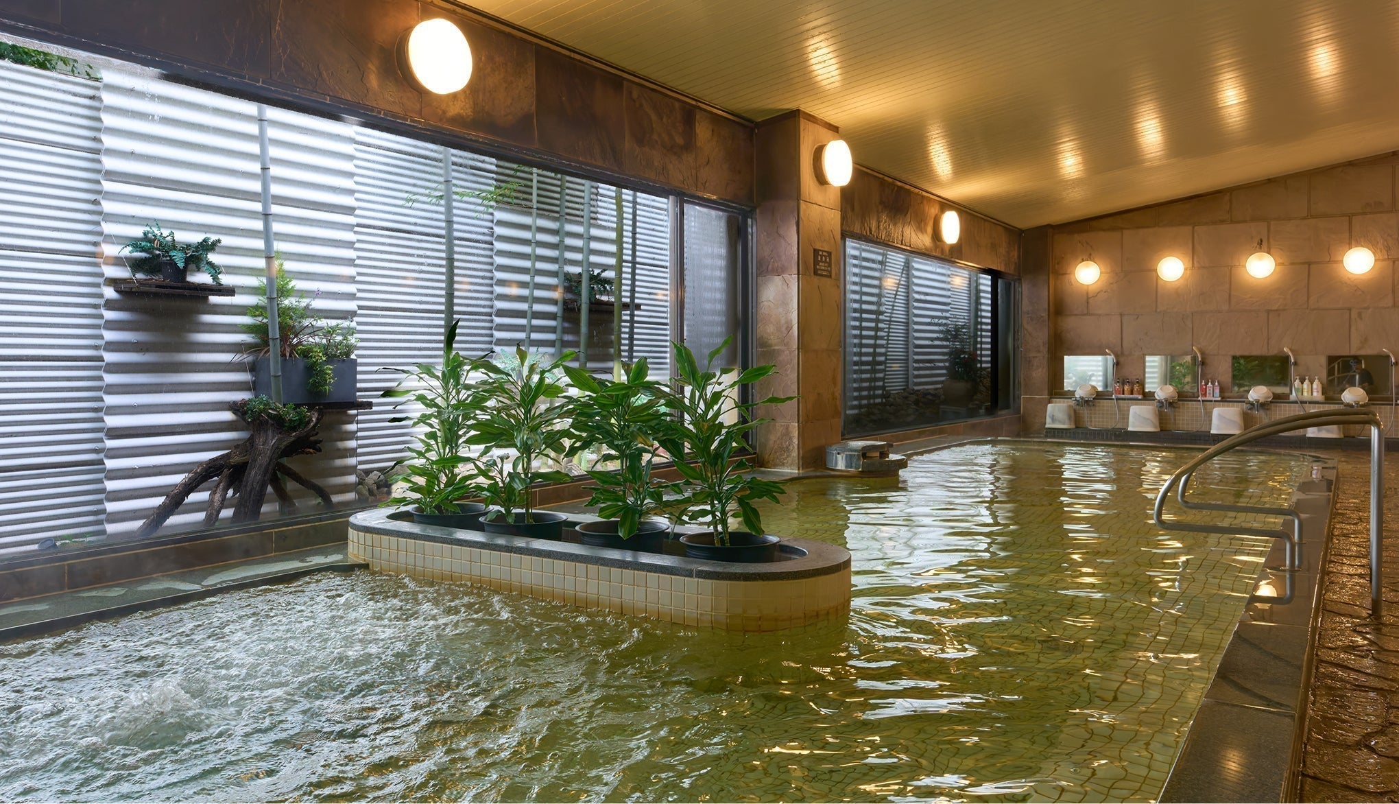 1月12日限定！　お得な特別プランのご案内